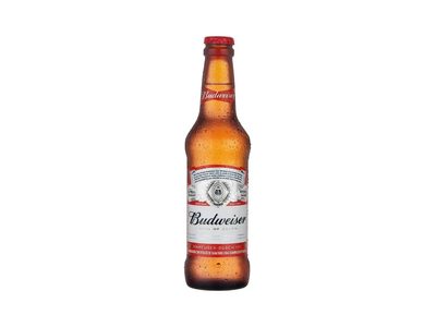 Cerveja Budweiser One Way Long 330ml